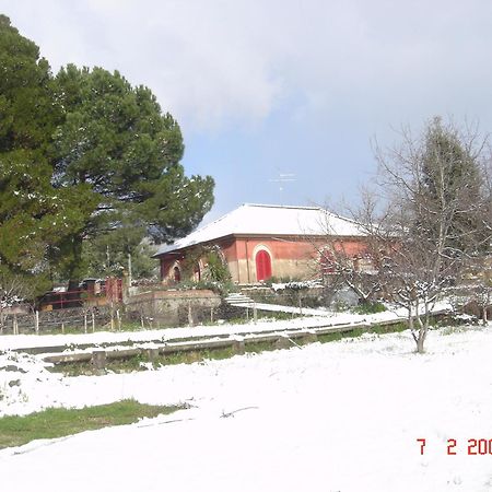 B&B Sotto I Pini ซัฟเฟรานา เอตเนอา ภายนอก รูปภาพ